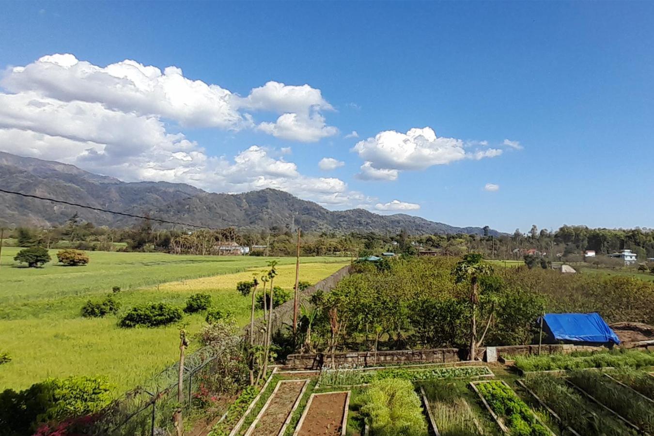Forest Side Farm - Homestay At Kotabagh Near Nainital And Jim Corbett Exterior foto